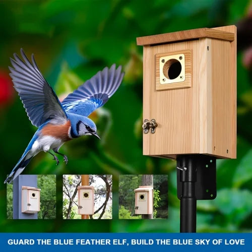 Pine Bird Houses With Copper Guard For Small Birds