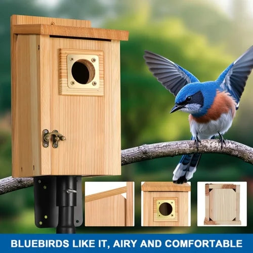 Pine Bird Houses With Copper Guard For Small Birds